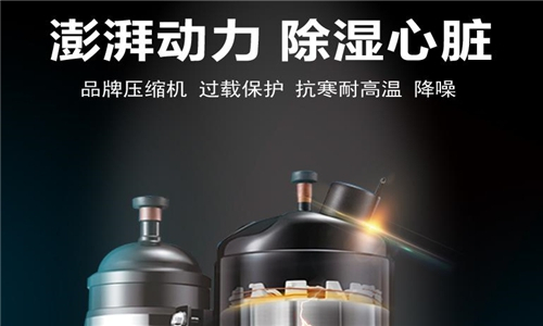 空氣抽濕機(jī)對絲綢倉庫的重要性